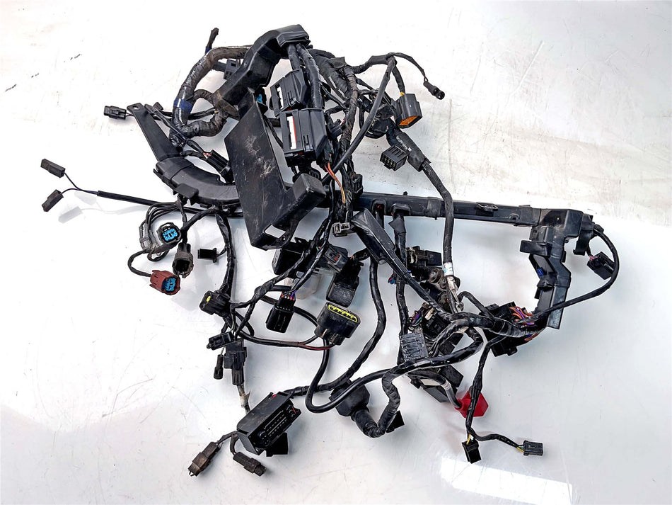 2014 Triumph Street Triple 675 R Wiring Harness Loom - T2508077