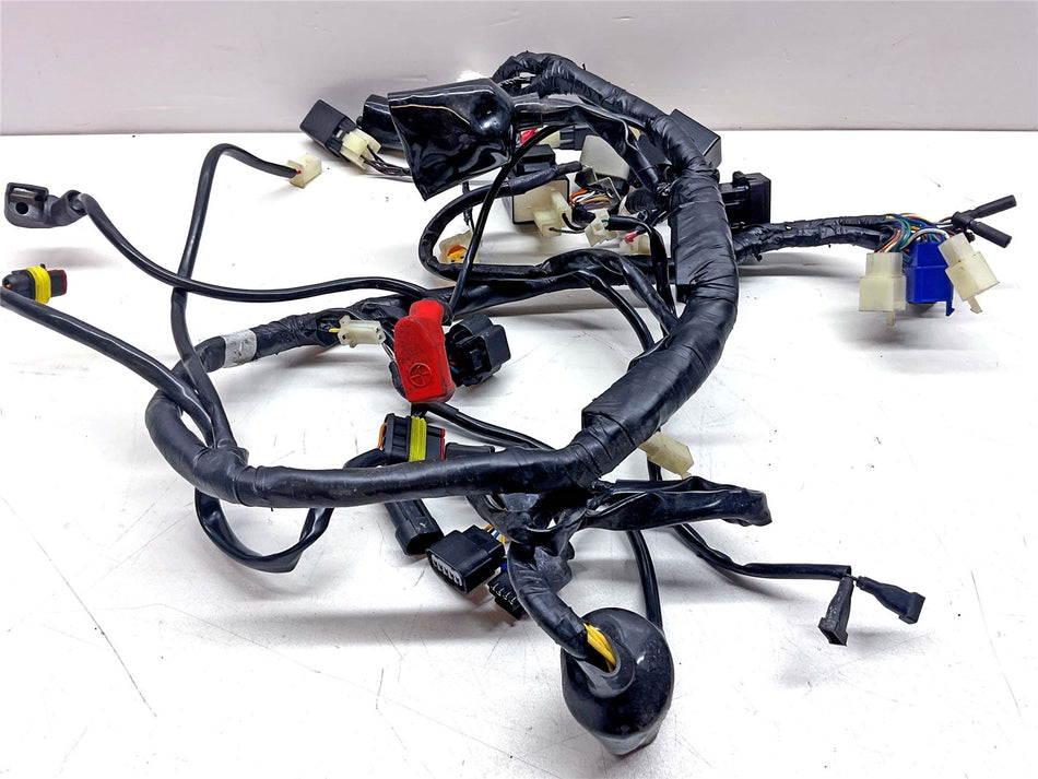 2024 Lexmoto MICHIGAN 125 Wiring Harness Loom - WRLM261