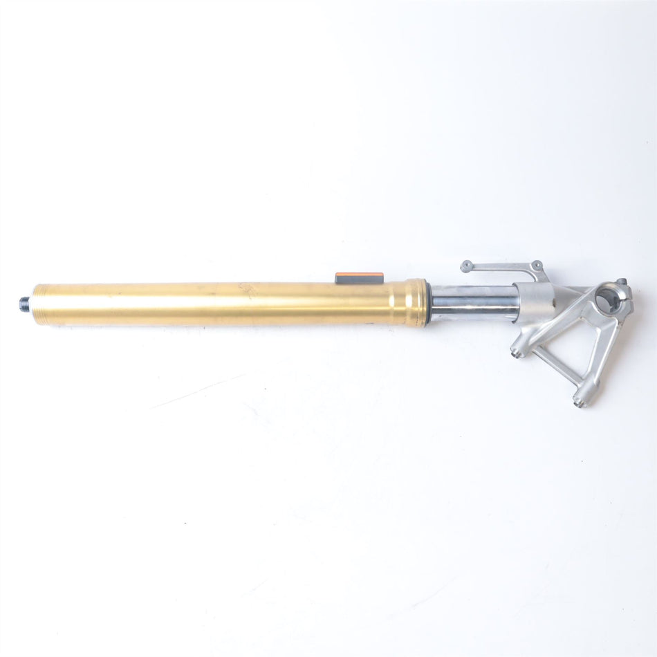2018 BMW S1000R Right Fork Leg - 200