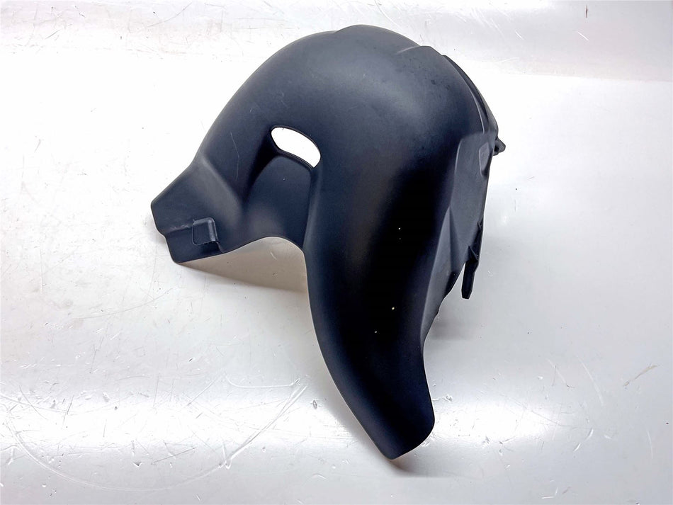 2021 Ducati Streetfighter V4 S Rear Exhaust Heat Reflector - 4601L211A