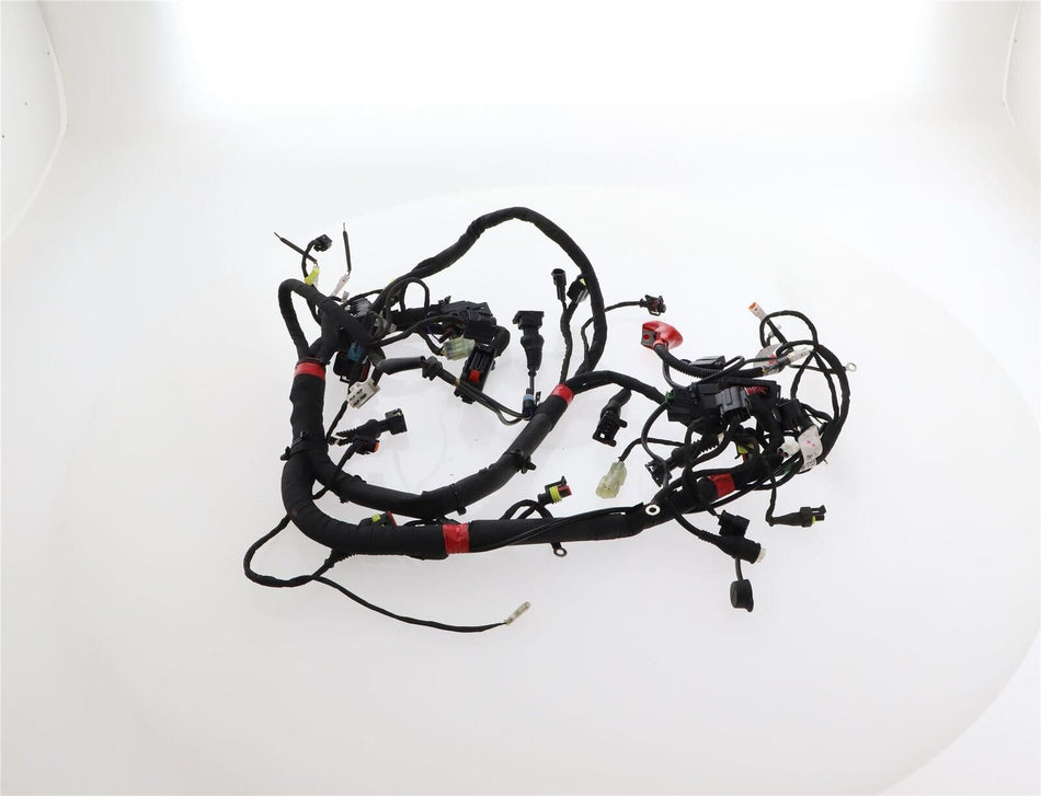 2017-2020 DUCATI MONSTER 797 Main Wiring Harness - 5101B851E