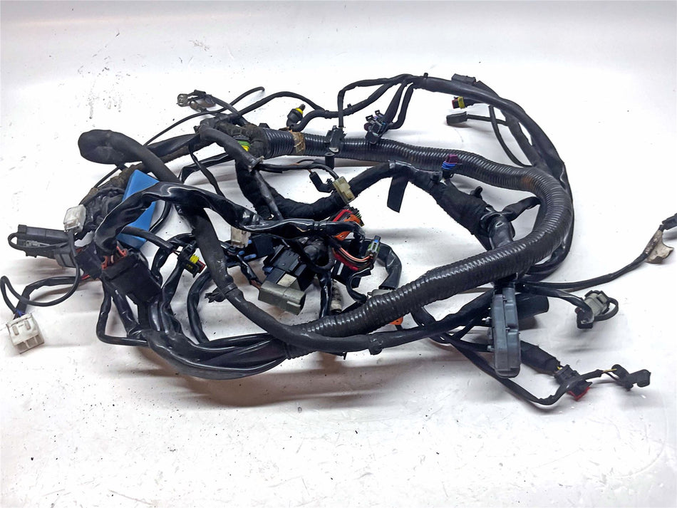 2006 Harley-Davidson Dyna Street Bob FXDB Wiring Harness Loom - 69602-06