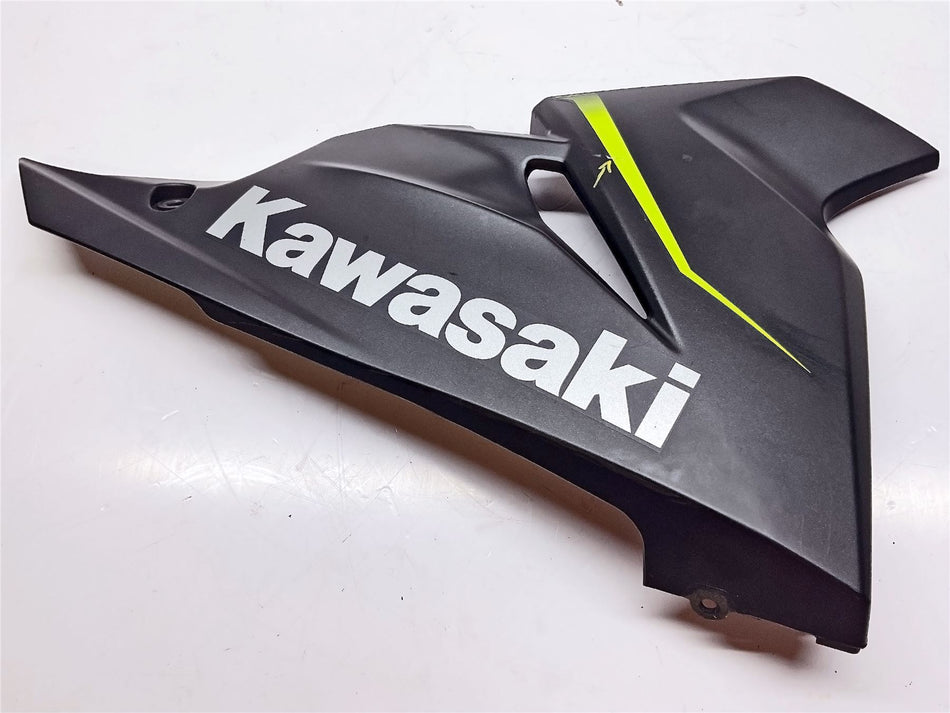 Kawasaki Ninja 125 Right  Lower Fairing - 550280483739