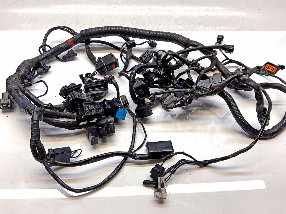 2015 Triumph Tiger 800 XRX Wiring Harness Loom - T2507305