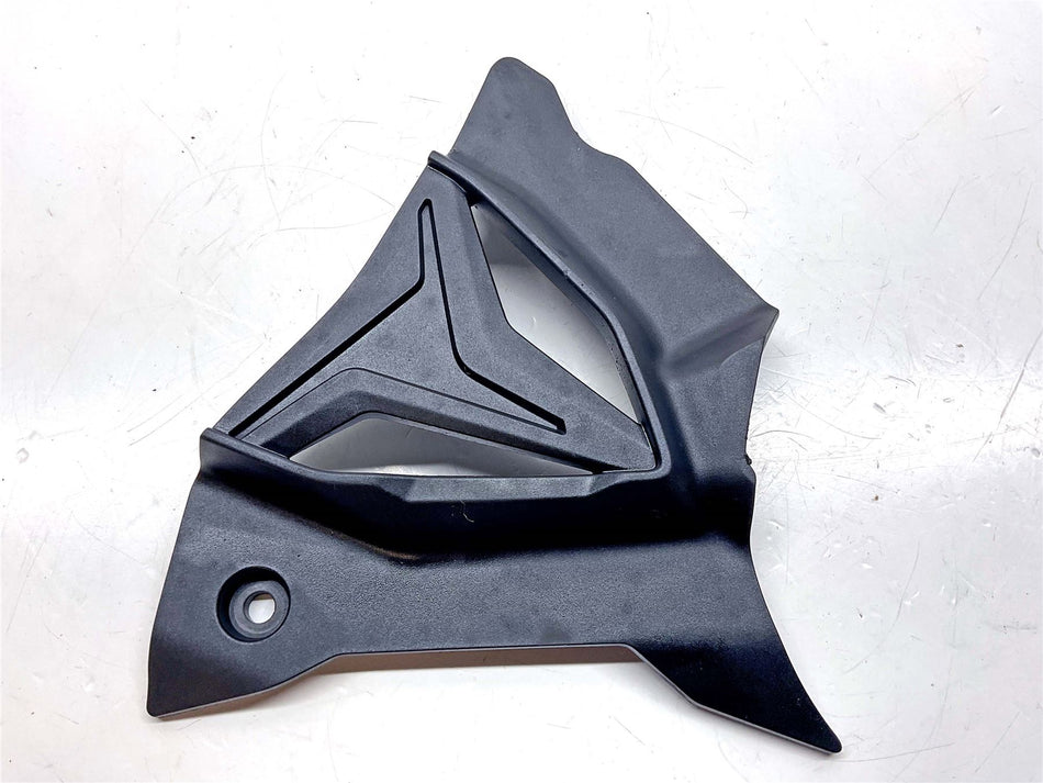 2020 BMW S1000XR Front Sprocket Cover - 33818405330