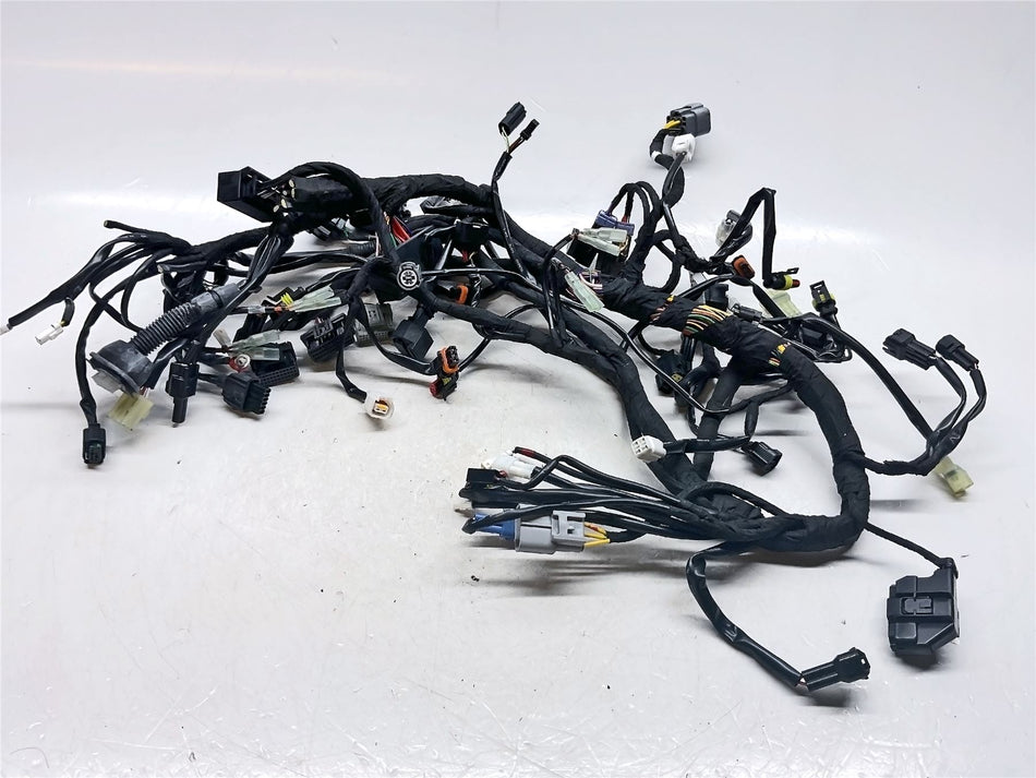 2024 KTM 1290 Super Duke R Wiring Harness - 61711075233