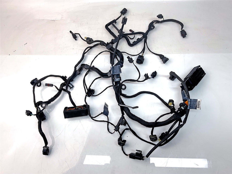 2021 BMW R1250GS Secondary Wiring Harness Loom - 12519480230