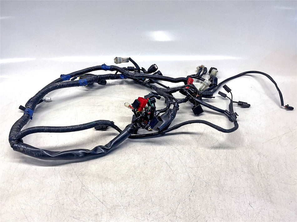 2016 Royal Enfield Continental GT Main Wiring Loom - 585757
