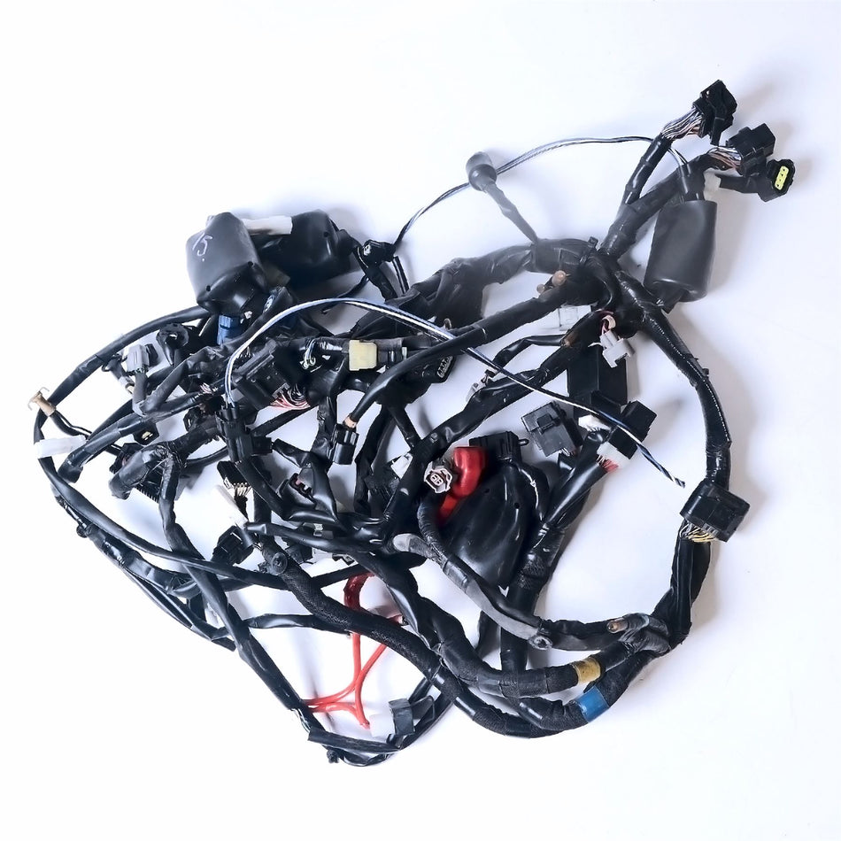 2019 Yamaha MT-10 Wiring Harness - B67825904100