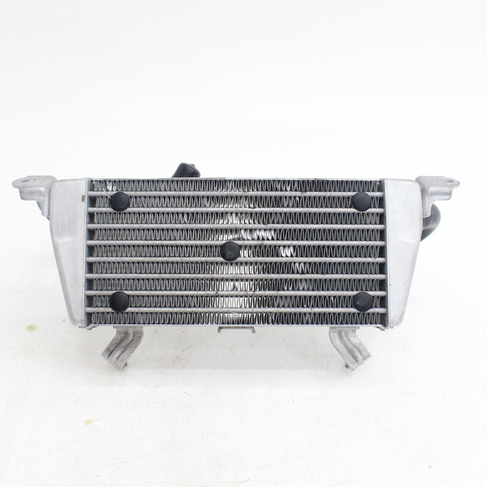 2023-2024 BMW S 1000 RR SPORT Cooling Radiator - 17118356804