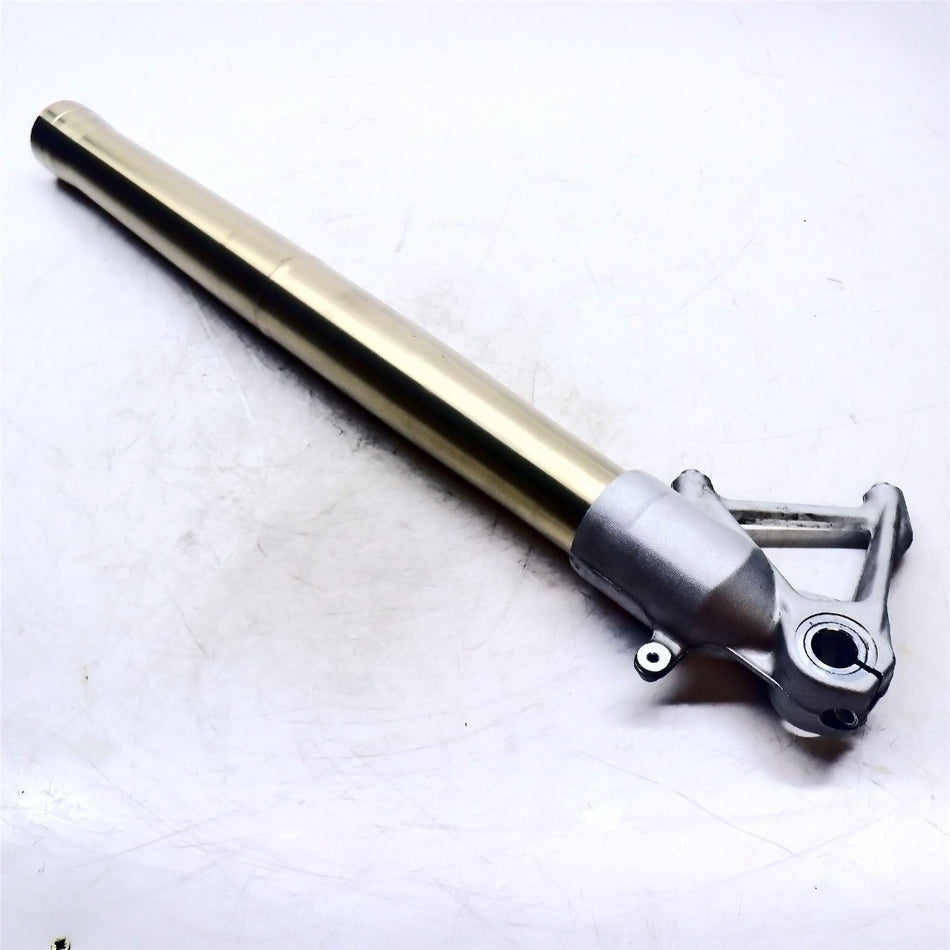 2019 BMW R1200GS Left Fork Lower - 31428566599