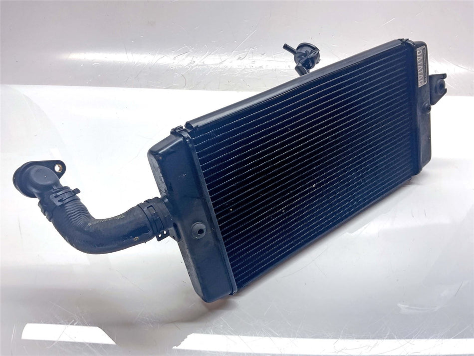 2025 Triumph Speed Twin 900 Radiator - T2101954