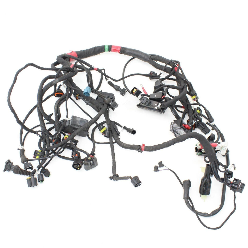 2016-2018 DUCATI HYPERMOTARD 939 SP Wiring Harness/Loom - 5101A641D