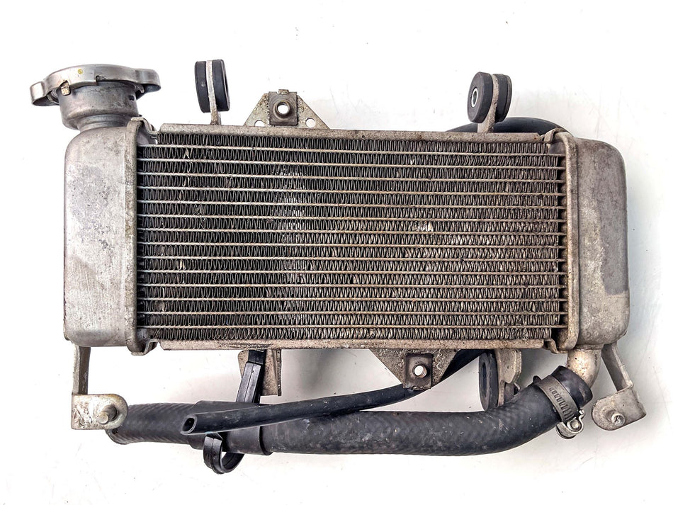 2024 Yamaha YZF-R 125 Radiator - 5D7E24611000