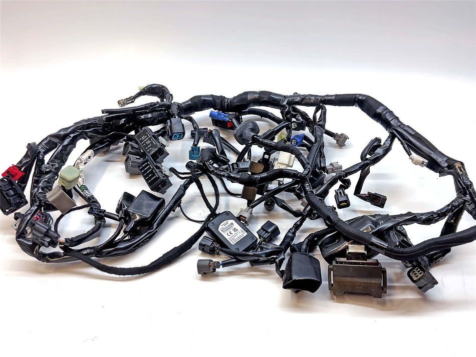 2022 Kawasaki Z900 ZR900 Wiring Harness Loom - 260312755