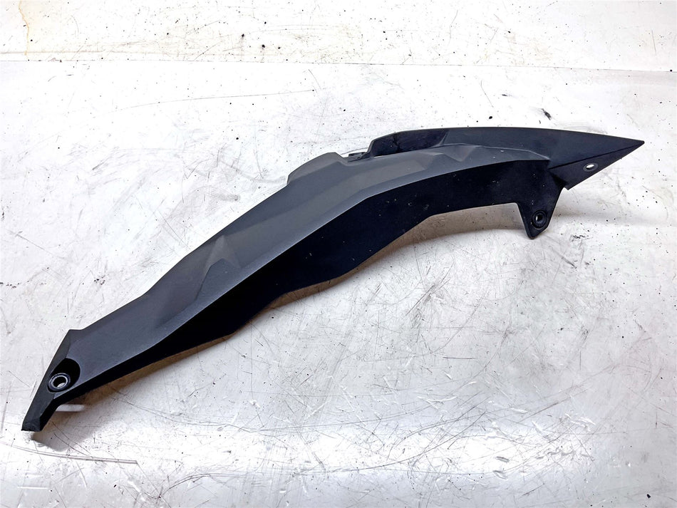 2018 BMW S1000R Radiator cowl left - 46638560329