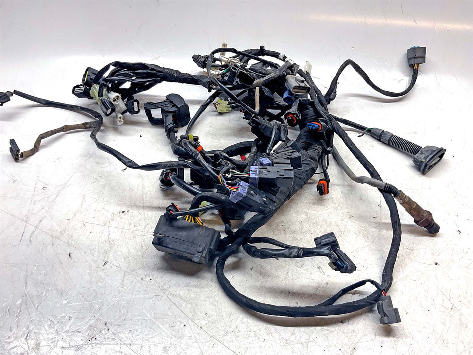 2023 KTM 890 Adventure Main wiring harness - 63711054010