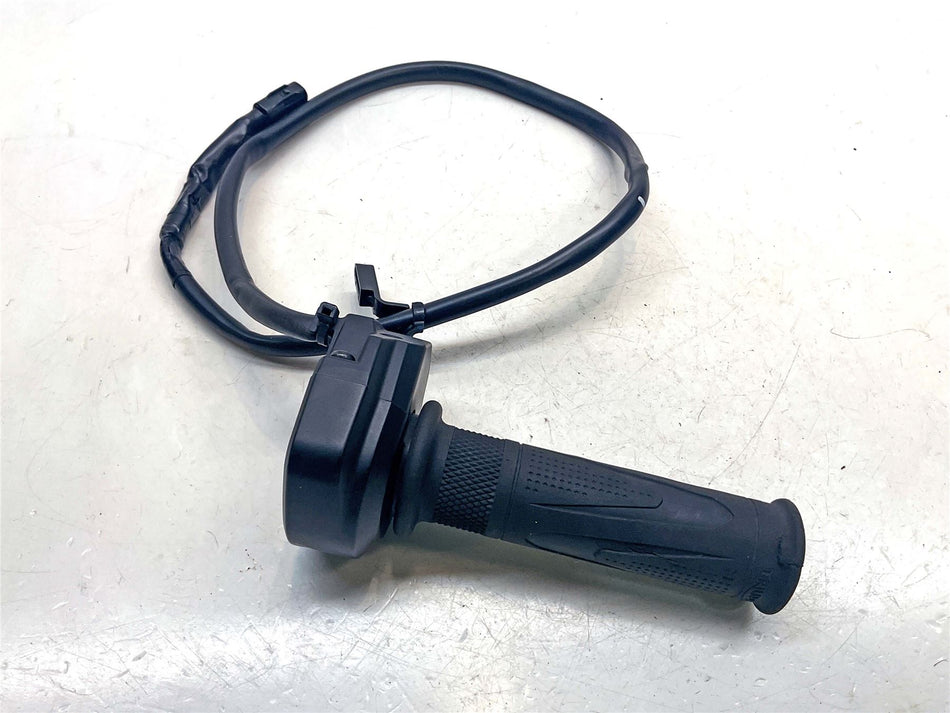 2025 Triumph Speed Triple 1200 RS Throttle Position Sensors - T2045140