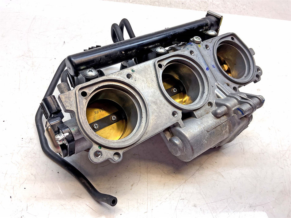 2024 Triumph Tiger 900 Rally Pro Throttle Bodies - T1243400