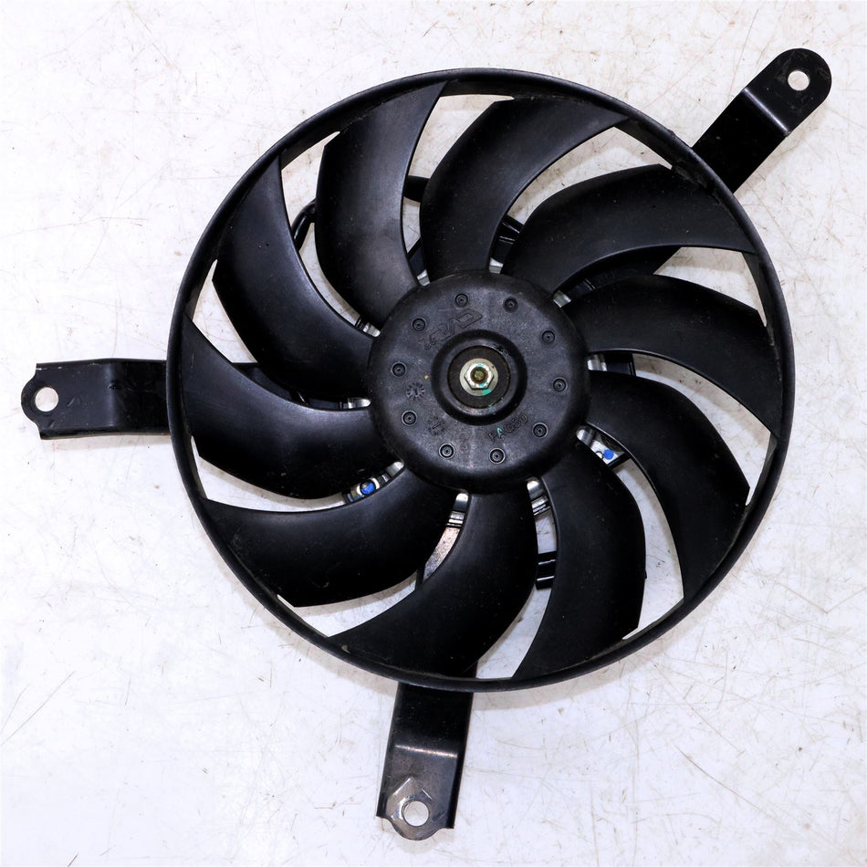 2020 KAWASAKI Z900 Radiator Fan - 595020614