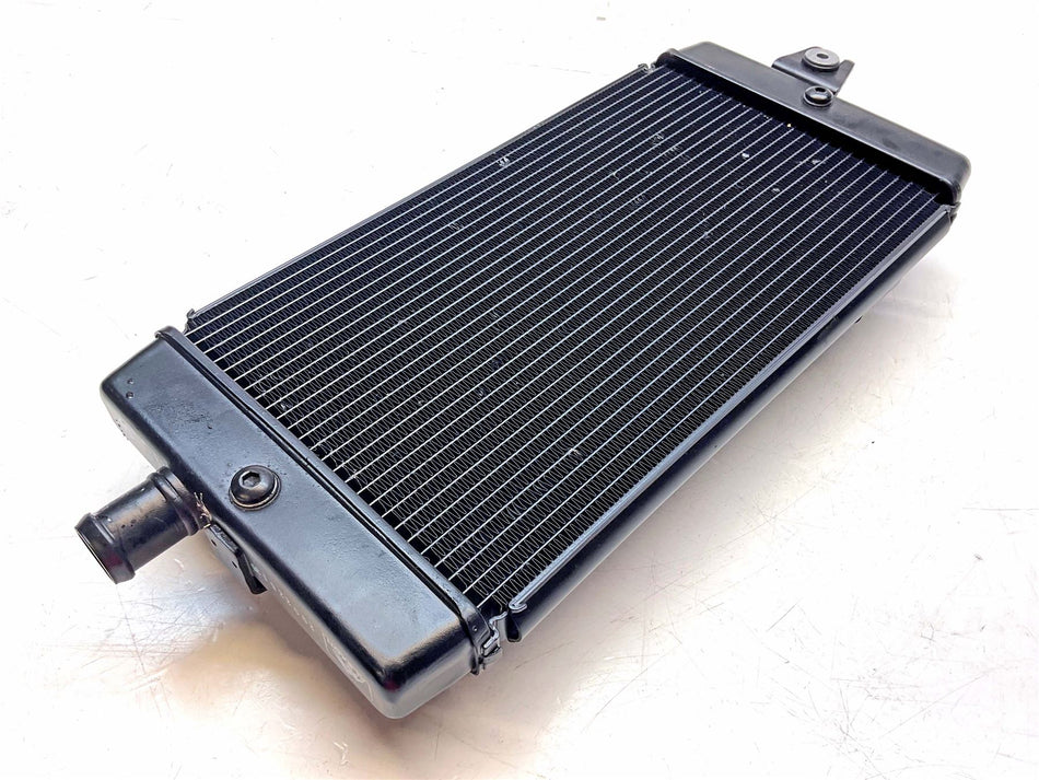 2025 Triumph Bonneville T120 Black Radiator - T2101333