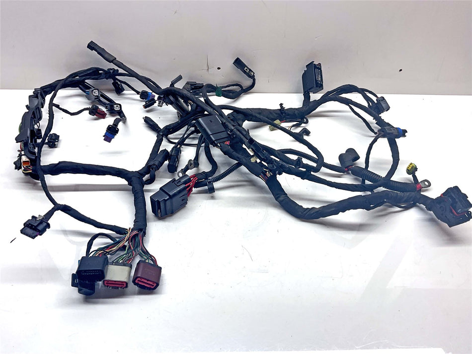 2019 Harley-Davidson Sport Glide FLSB 107 Wiring Harness Loom
