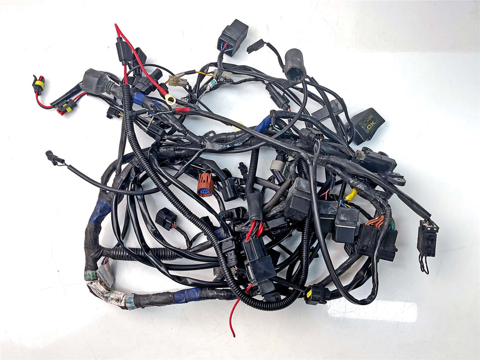 2009 Triumph Tiger 1050 Wiring Harness Loom - T2500890