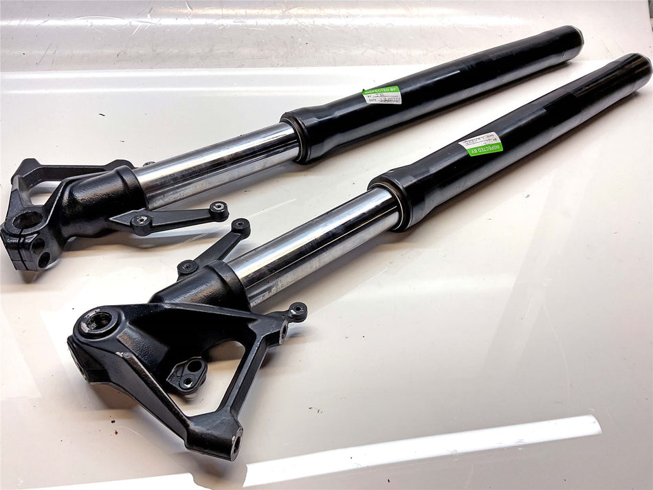 2021 Triumph Tiger 900 GT Pro Front Forks - T2048862