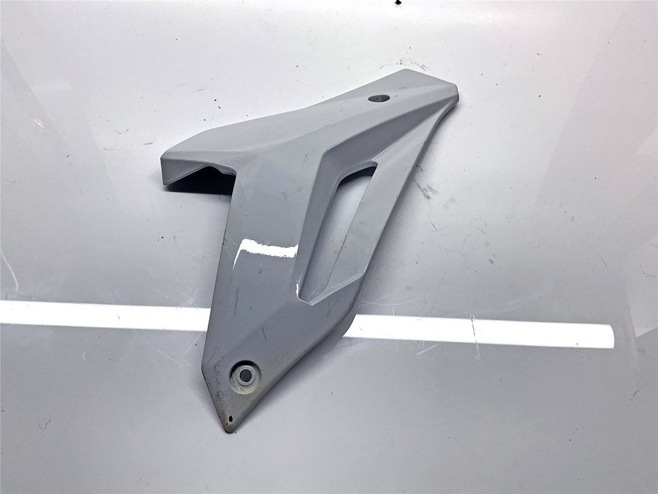 2018 BMW S1000R Left Lower Fairing - 46638533963