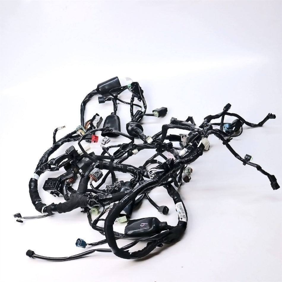 2024 Kawasaki KL650 Wiring Harness - 260313943