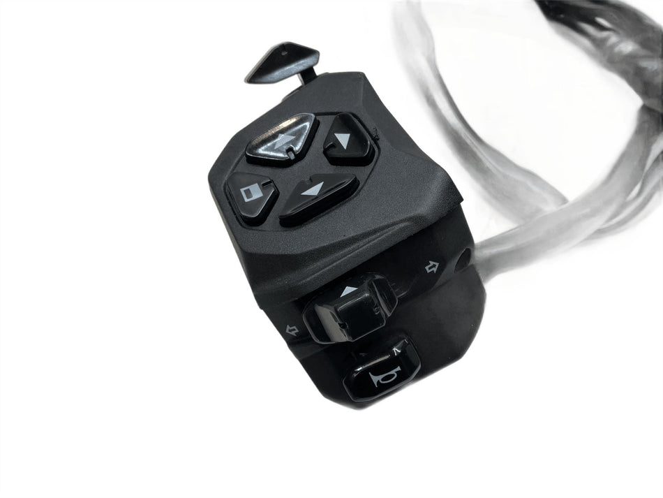 2021 Aprilia Tuono V4 1100 Factory Left Hand Switchgear 2D000574