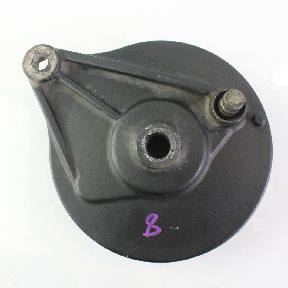 2015-2020 HONDA CB 125 F Rear Brake Panel - 43100KPNE20ZA