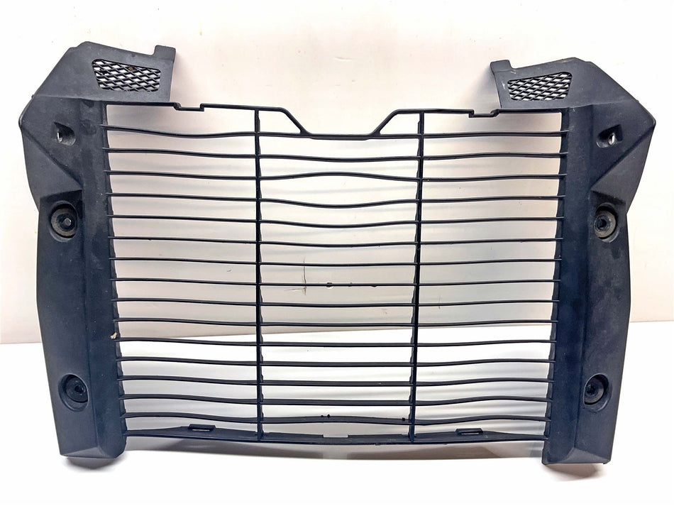 2009 Honda CB1000R Radiator Grille - 19032MFND00