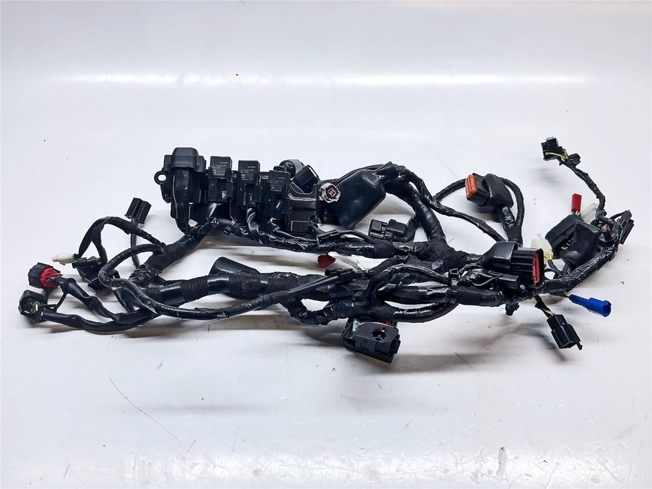 2023 Royal Enfield Hunter 350 Wiring Harness
