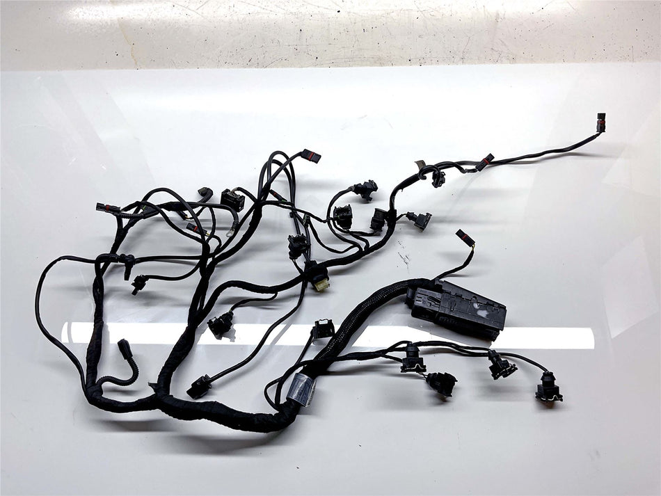 2018 BMW S1000R Wiring Harness Loom - 12518355089