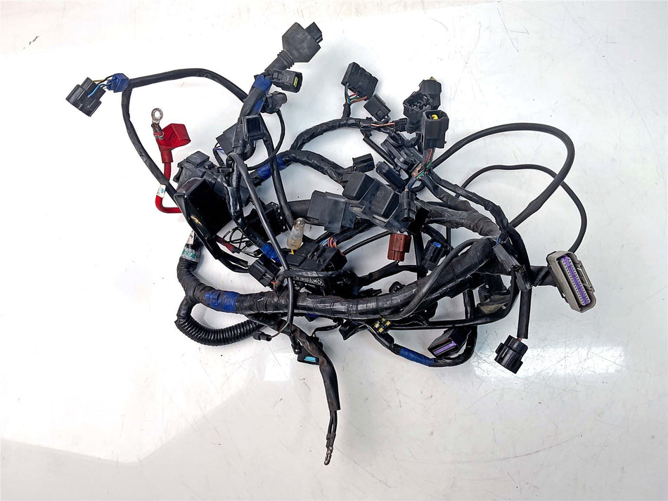 2009 Triumph Tiger 1050 Wiring Harness Loom - T2500890