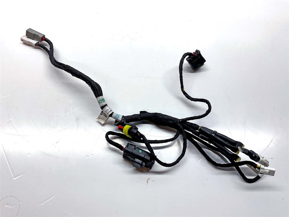 2020 Ducati Streetfighter V4 S Rear Wiring Harness - 5101H231B