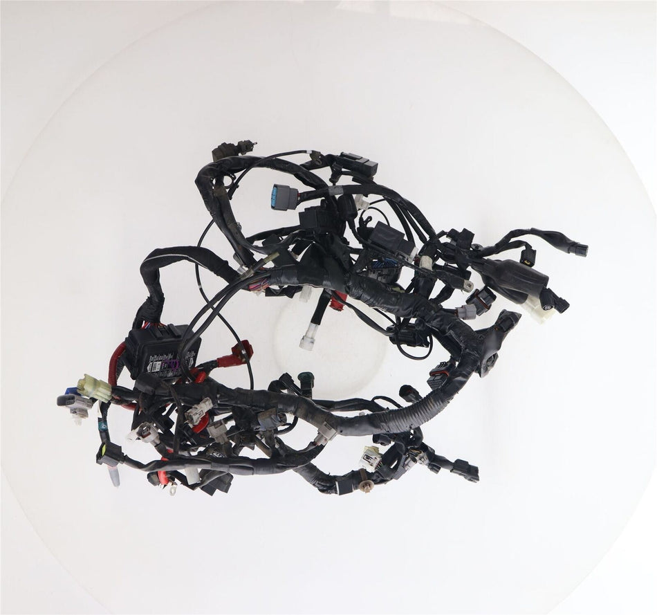 2021-ON YAMAHA TRACER 9 GT Wiring Loom - BAP825900100