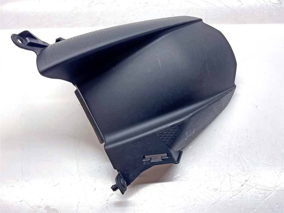 2024 BMW M1000R Rear Wheel Hugger - 46628569768