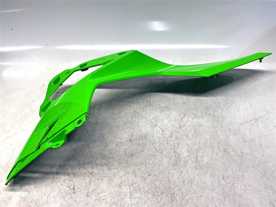 2024 Kawasaki EX 400 Left Fairing Green - 55028-0641-777