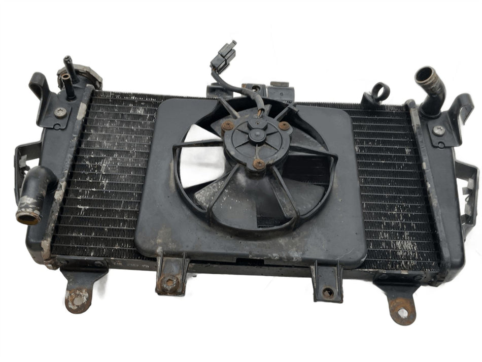2009 Triumph Tiger 1050 Radiator & Fan T2100800