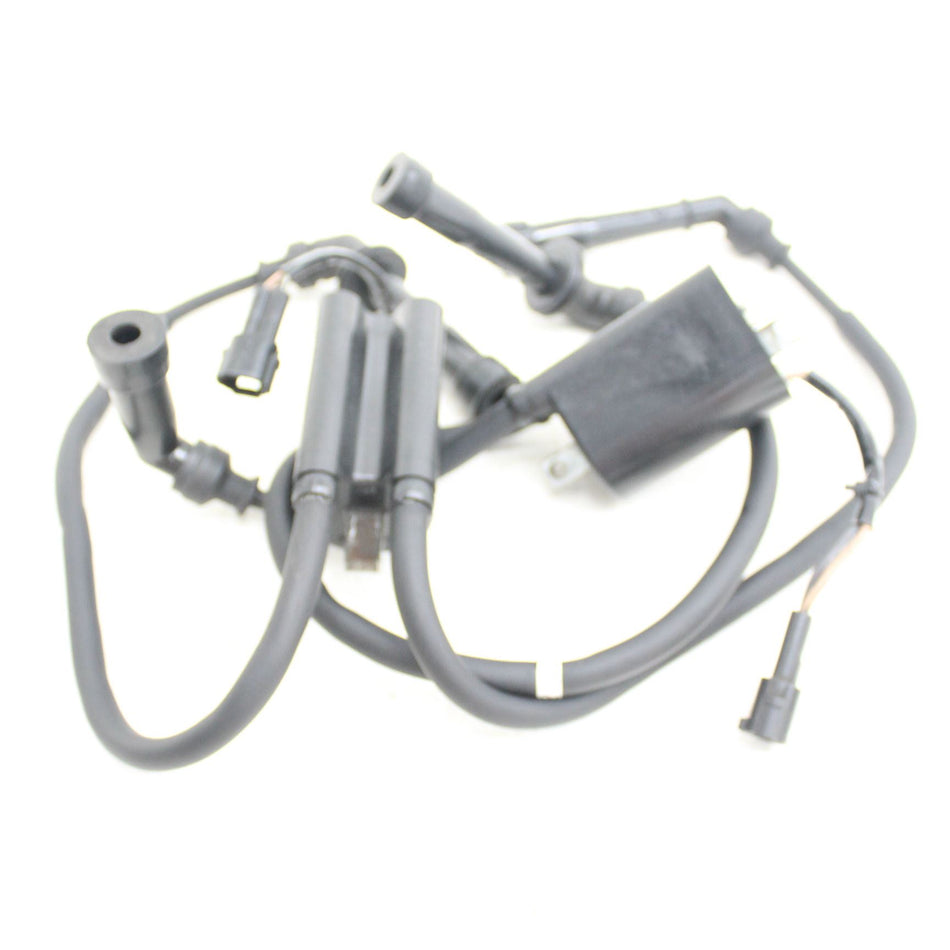 2021 SUZUKI SV650 Ignition Coils - 3341018K00000