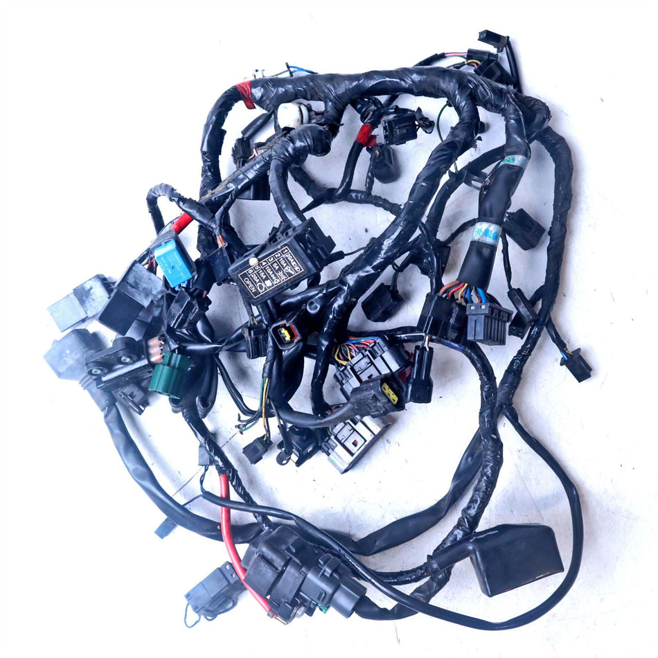 2008 Triumph Street Triple 675 Wiring Harness Loom - T2500674