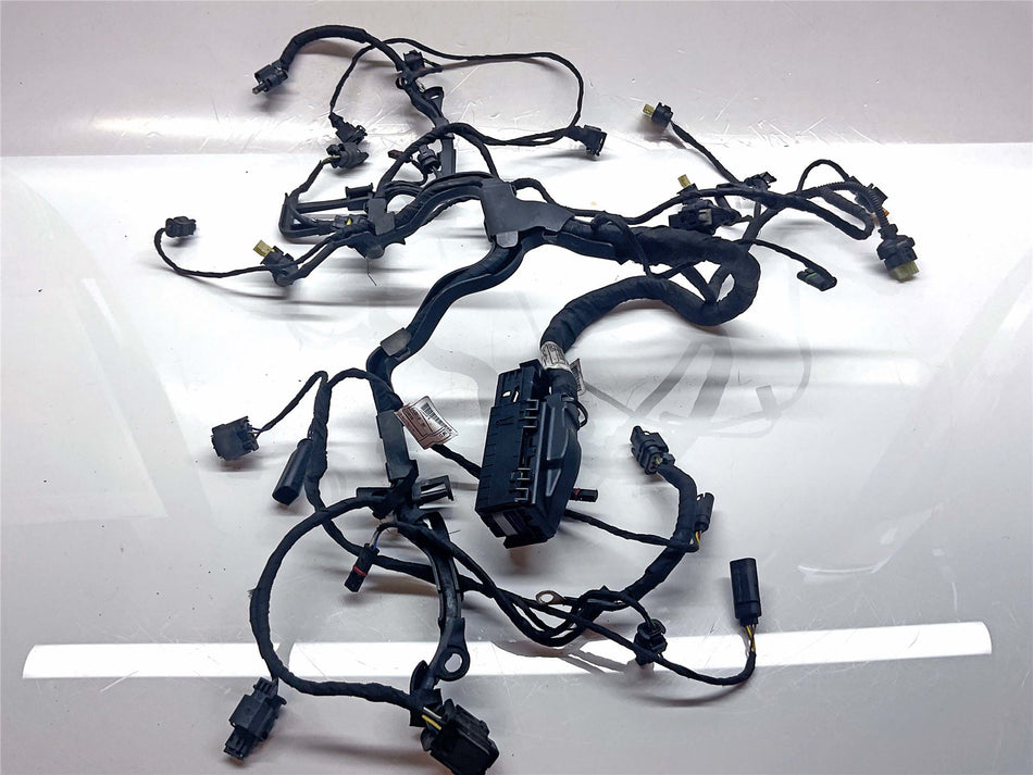 2022 BMW R1250GS Adventure Secondary Wiring Harness Loom - 12519480230