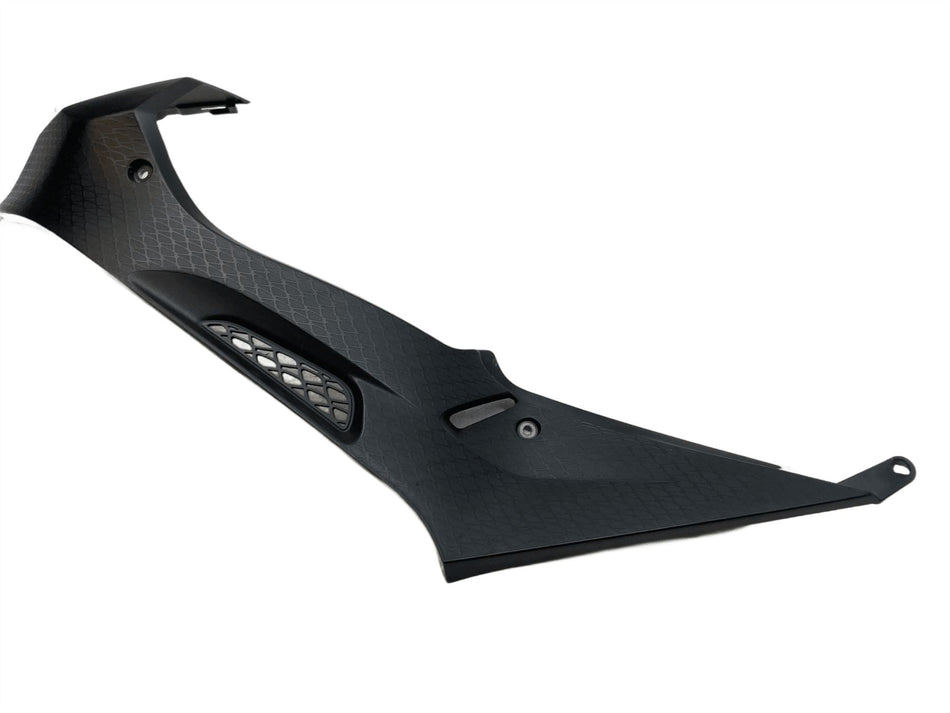 2014 BMW S1000RR Infill Panel 46637715925