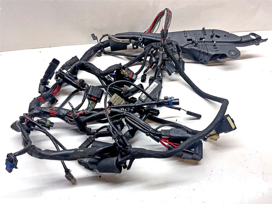 2017 Harley-Davidson Sportster 1200 Anniversary Wiring Harness Loom - 69200073B