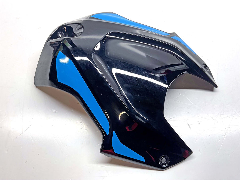 2025 BMW S1000R Sport Airbox Cover - 46638388961