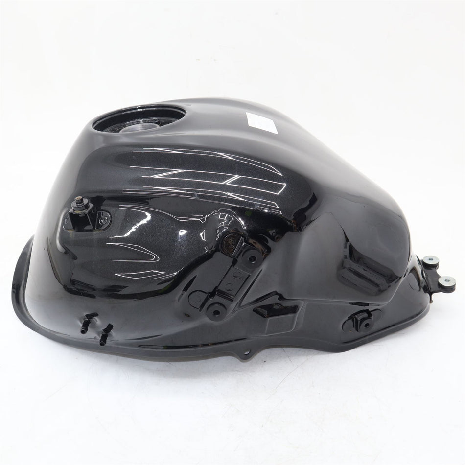 2022 KAWASAKI VERSYS 650 Fuel Tank - 510010926660