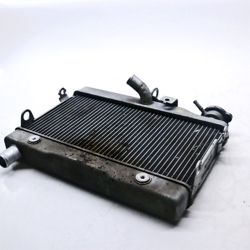 2023 Honda CL 500 A-P Radiator - 19010MLPDA1