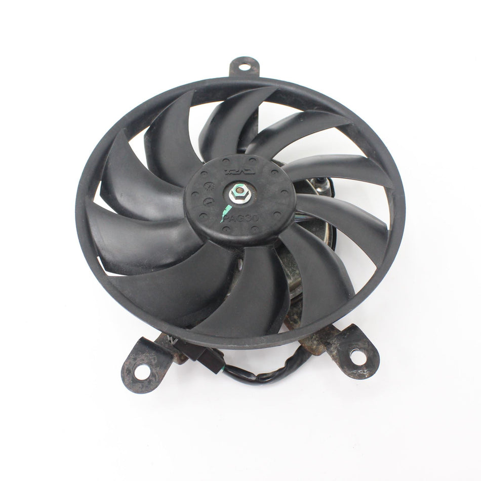 2017-2019 TRIUMPH TIGER 800 XRX LOW Fan - T2100309